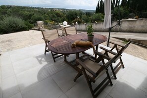 Une table ronde en bois, entourée de chaises, avec une plante en pot et un ours en peluche, sur une terrasse offrant une vue sur la campagne.