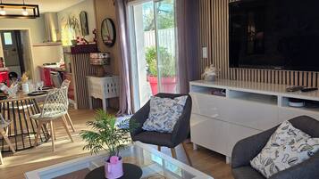 TV, DVD player, books