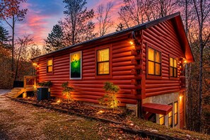 A log cabin with a porch, a front door, and a window with a green poster.