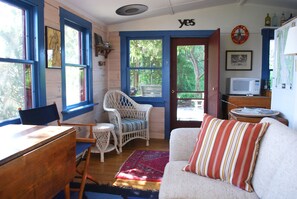 Smart TV, DVD player, books, video library