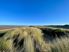 Un paysage côtier avec des dunes et une plage.