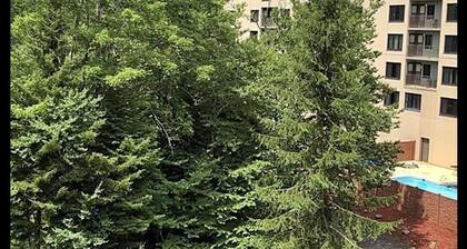 March Deals - Silvercreek Lodge! 2BDR/2Bath. Ski In/Out, Wifi, Pool, Hot Tub