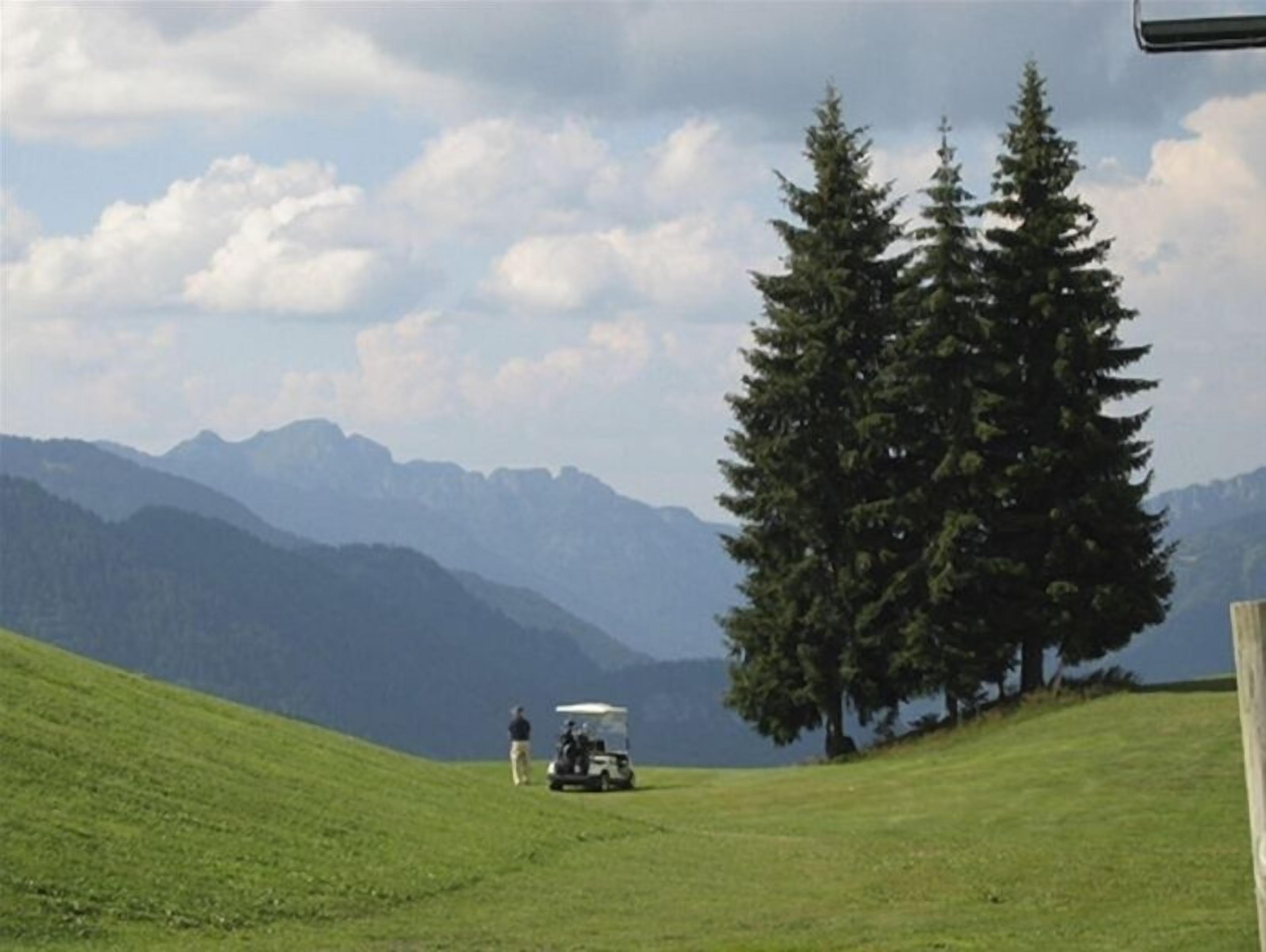 A golf course with a large coniferous tree and mountains in the background.