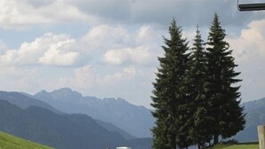 Un campo de golf con un gran pino y montañas al fondo.