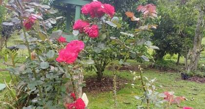 Site at the entrance of Vale da Grama (for carnival)