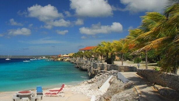 A beach with clear turquoise water, a stone wall, and palm trees. - Updated/Beachfront/180 Sunset View/Dock/Dive Shop/Pool/Restaurants (Kralendijk)
