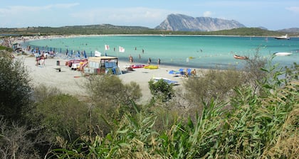 San Teodoro: Yksi huvila, 5 makuuhuonetta, 5 kylpyhuonetta, kahden hengen olohuone, veranta, iso terassi ja puutarha, solarium suihkulla ja upea merinäköala. VILLA LU IMPOSTU - PUNTALDIA