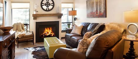 Smart TV, fireplace, DVD player, books