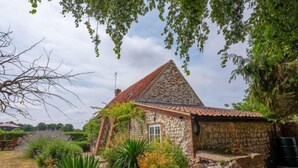 A stone house with a tiled roof, surrounded by a garden with various plants and a patio area. - Little Wells (4), North Creake, Norfolk (Fakenham)