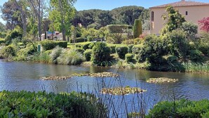 Un cadre paisible au bord de la rivière, avec une végétation luxuriante, un bâtiment doté d’un toit en tuiles et un ciel bleu dégagé.