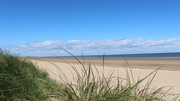 Een strand met zand en gras op de voorgrond, en een helderblauwe lucht.