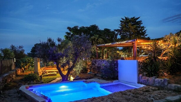 Una piscina con borde de piedra, rodeada por un jardín con diversas plantas y una pérgola con luces colgantes.