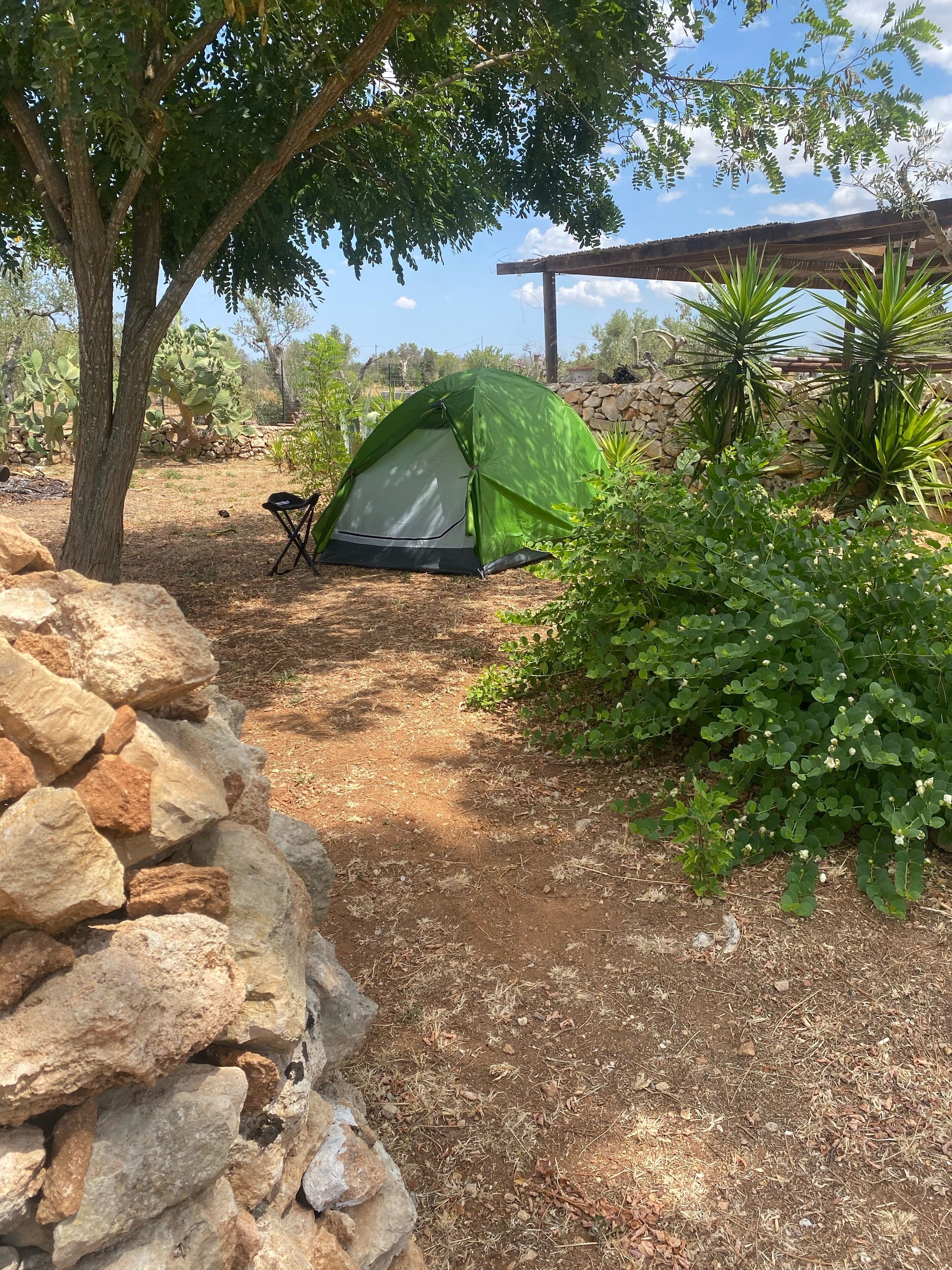 Een groene tent opgesteld in een natuurlijke omgeving, met een stenen muur, een boom en verschillende planten.
