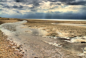 Ranta