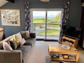 TV, DVD player, ping pong, books