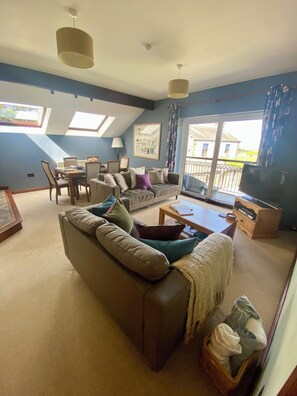 TV, DVD player, ping pong, books