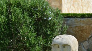 A stone sculpture of a face, a stone wall, and a bush. - Peaceful designed modern villa nestles in St Paul de Vence (saint paul de vence)