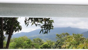A view through a window with a mountain landscape in the background.