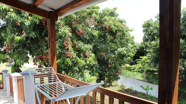 A wooden deck with a white folding chair and a view of a lush garden with various trees and a metal fence in the background.