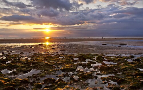 Sleepy Gull, Old Hunstanton, Norfolk