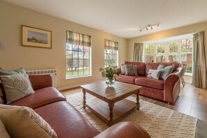 Televisor, llar de foc i reproductor de DVD 