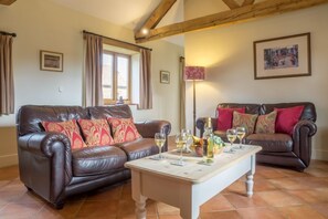 Televisie, een open haard, een dvd-speler en boeken