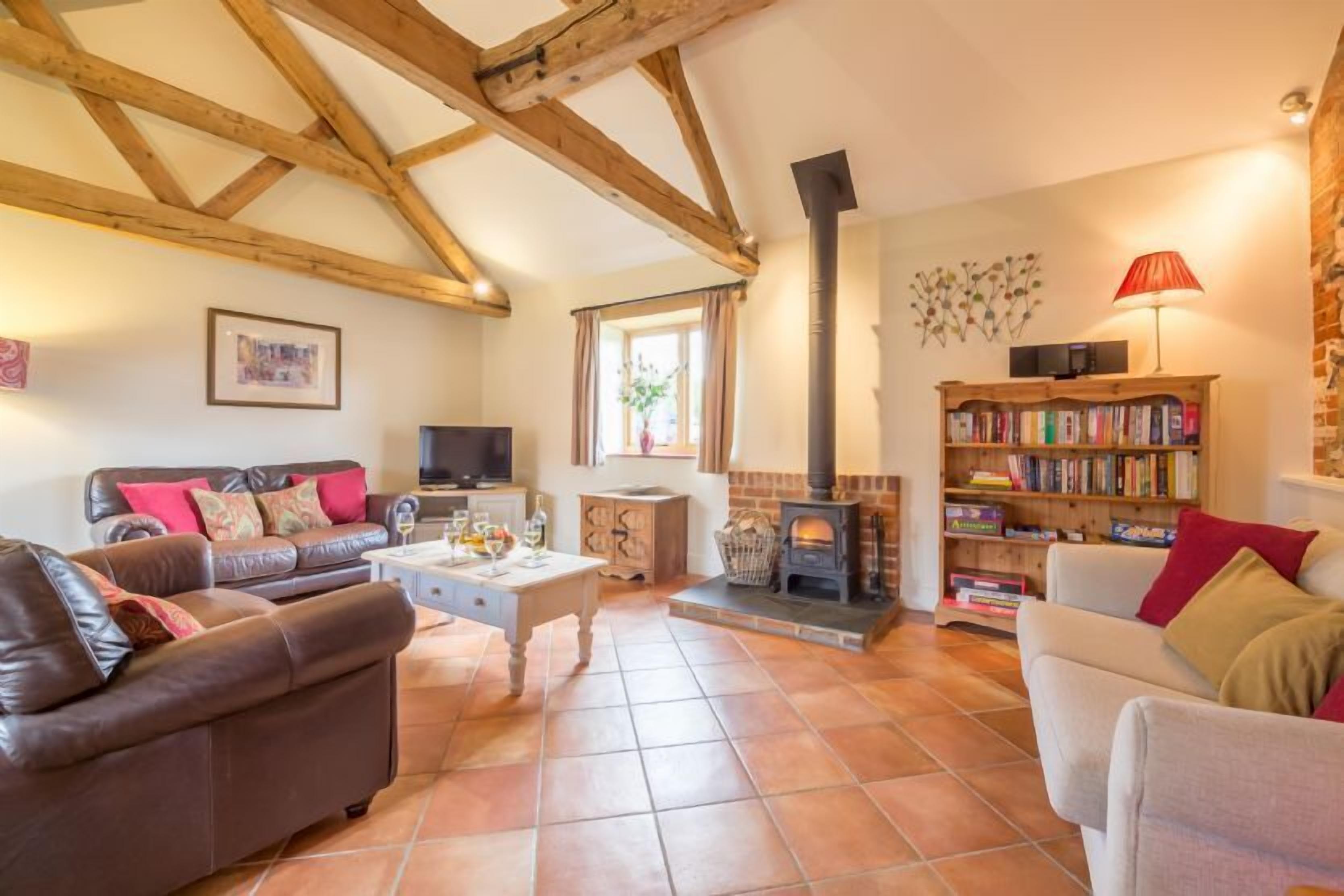 Télévision, cheminée, lecteur de DVD, livres