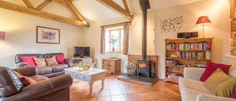 TV, fireplace, books