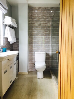 Ducha, secador de pelo, toallas, jabón