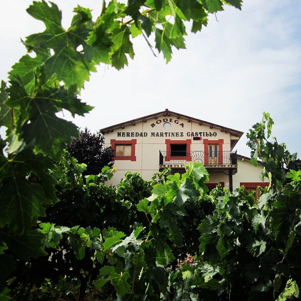 Casa Rural La Viña for 2 people