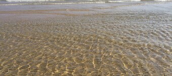 Villa Carla Orchid Two-room apartment with 4 beds, kitchenette, Veranda, 