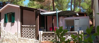 Villa Carla Orchid Two-room apartment with 4 beds, kitchenette, Veranda, 