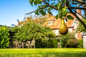 Property grounds - Pear Tree Cottage, Holme-next-the-Sea, Norfolk (Holme-next-the-Sea)