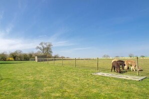 A fenced outdoor area with a grassy field and a metal structure.