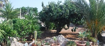 Lampedusa: Appartamento con giardino