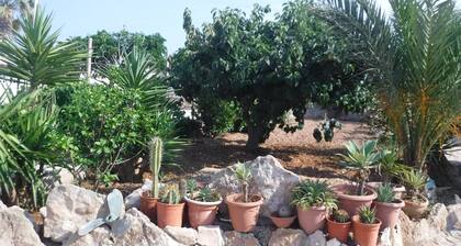Lampedusa: Huoneistossa on puutarha