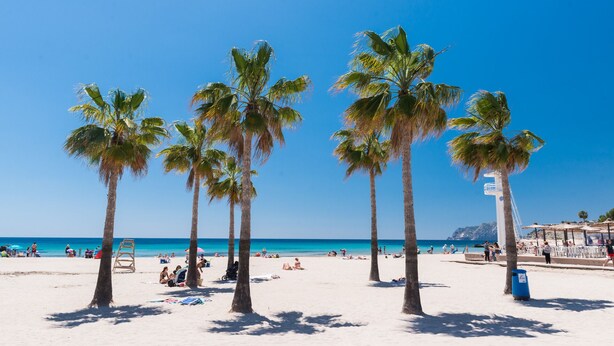 A beach with palm trees, a lifeguard tower, and a clear blue sky.