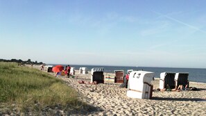 Beach nearby, sun loungers