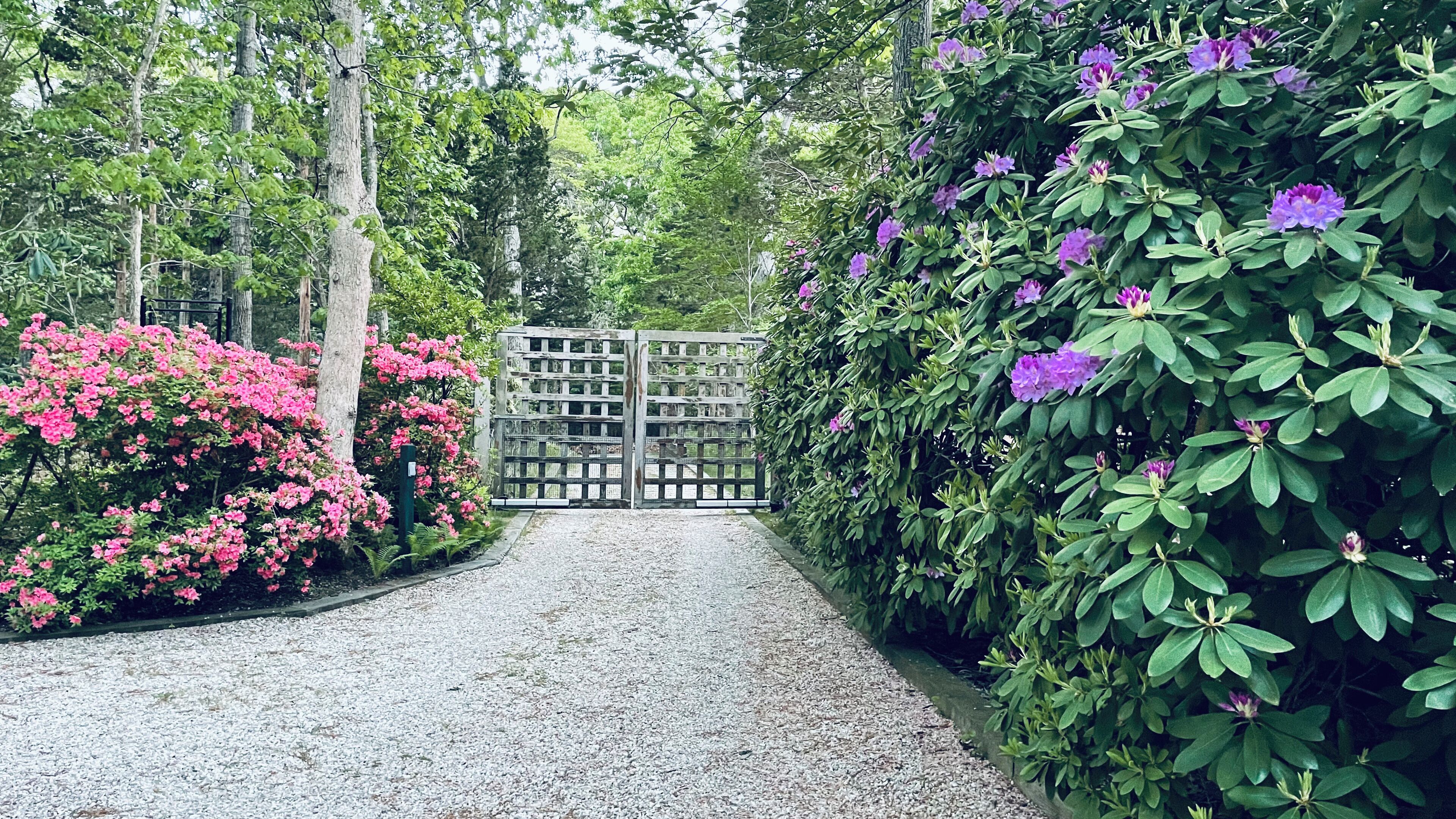 Secluded Artist & Architect House With Magical Garden, mid century modern