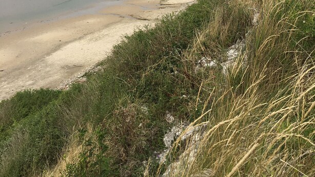 Een strand met een helder uitzicht op de oceaan en iemand in het water.
