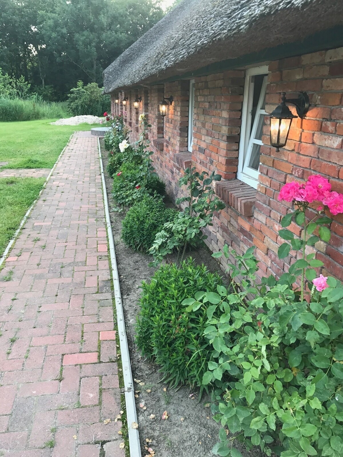 Image de profil de l’hôte