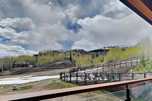 Terrain de l’hébergement 