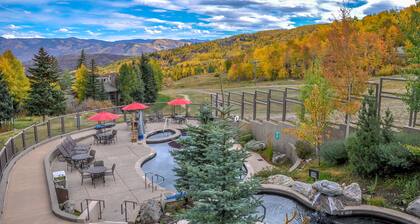 Timberline Deluxe Ski-In / Ski-Out Studio