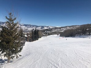 Deportes de invierno y ski