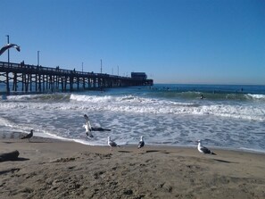 A beach with a pier, waves, and seagulls. - Charming Newport Beach Cottage front house includes middle patio (NEWPORT BEACH)