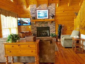 Smart TV, chimenea, reproductor de DVD