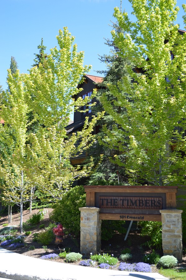 Property grounds - The Timbers Condo 2G - Mountain Views, Walk to Downtown & Pet Friendly (Ketchum)