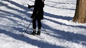 A person cross-country skiing in a snowy forest.