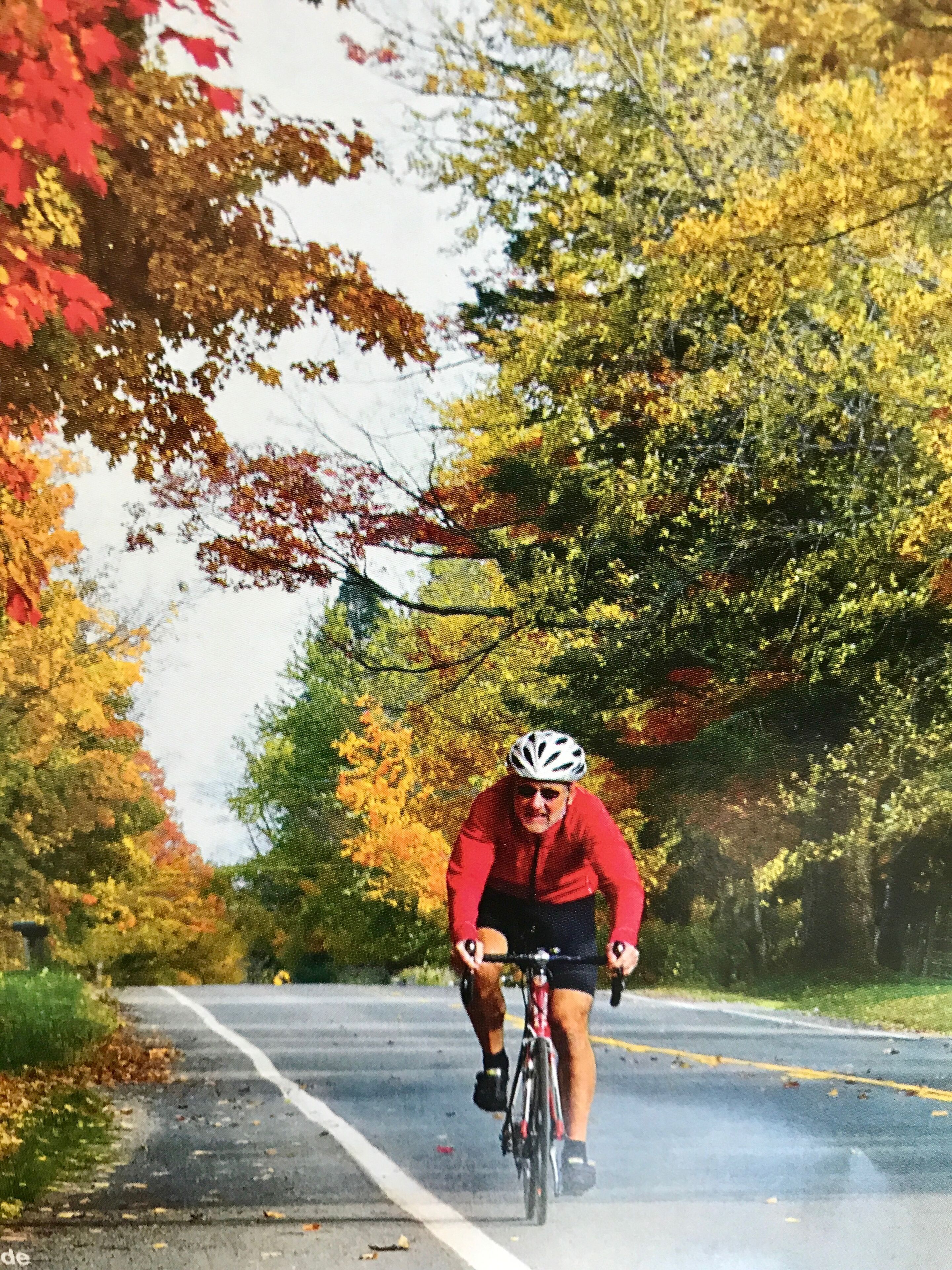 A cyclist on a road with autumn foliage.