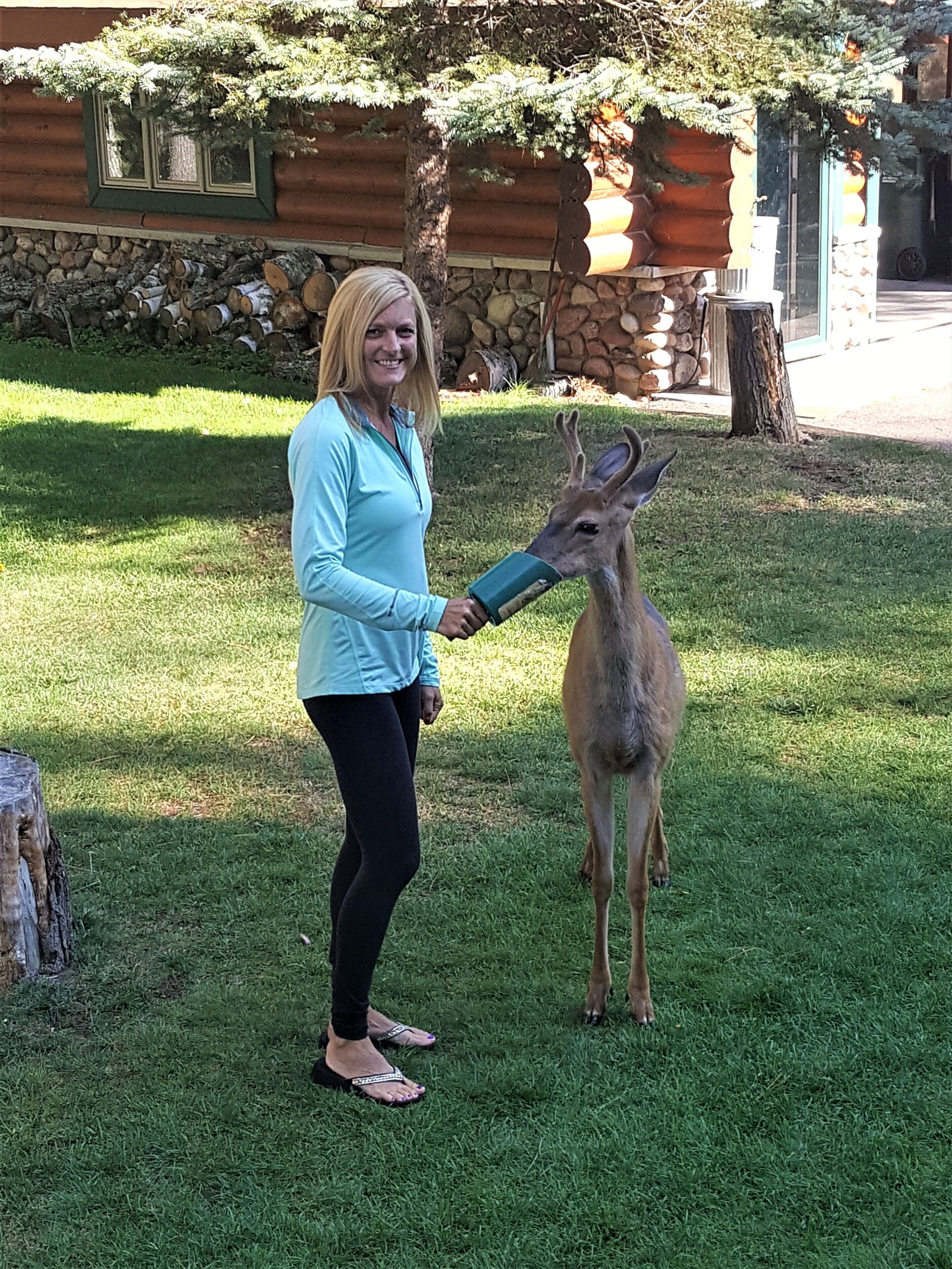 A person holding a deer in a grassy area with a stone wall and wooden cabin in the background.